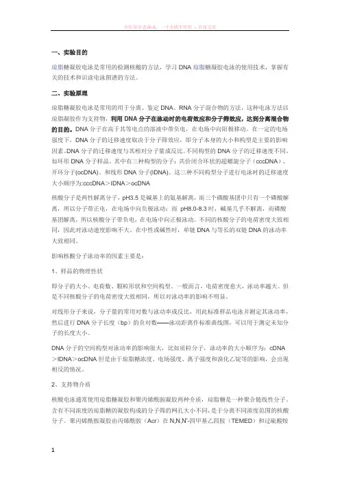 dna的琼脂糖凝胶电泳实验原理和操作步骤