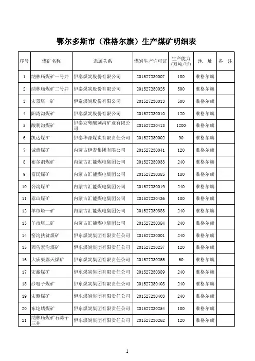 生产煤矿明细表