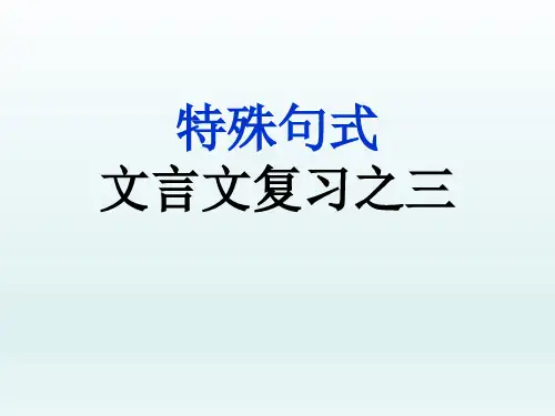 2025届高考语文复习：文言文特殊句式课件