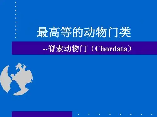 脊索动物门