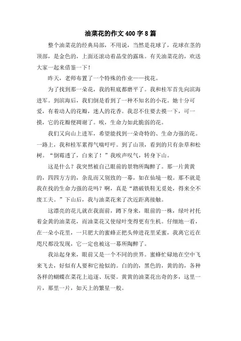 油菜花的作文400字8篇