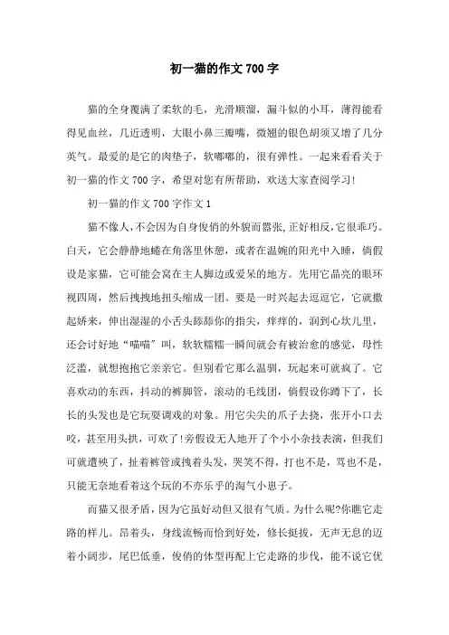 初一猫的作文700字精选