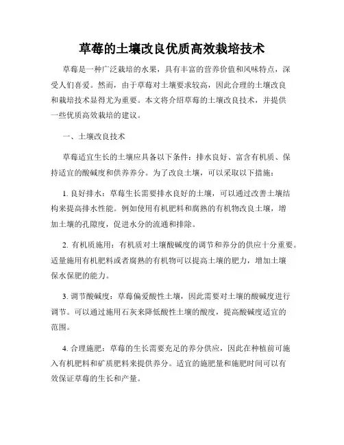 草莓的土壤改良优质高效栽培技术