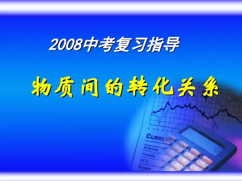 物质间的转化关系PPT课件