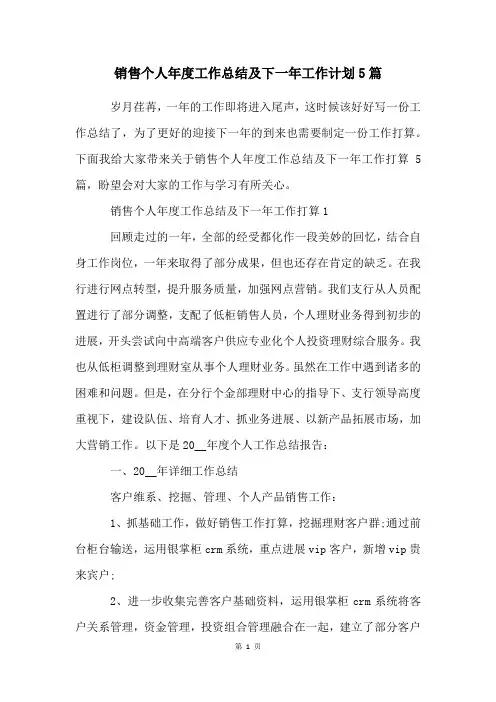 销售个人年度工作总结及下一年工作计划5篇