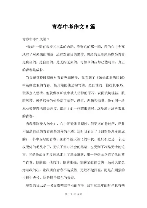 青春中考作文8篇