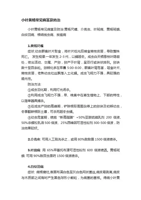 小叶黄杨常见病害及防治