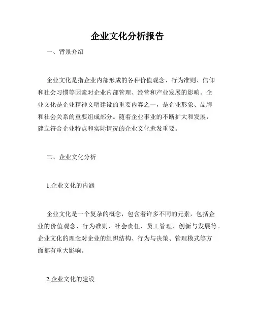 企业文化分析报告