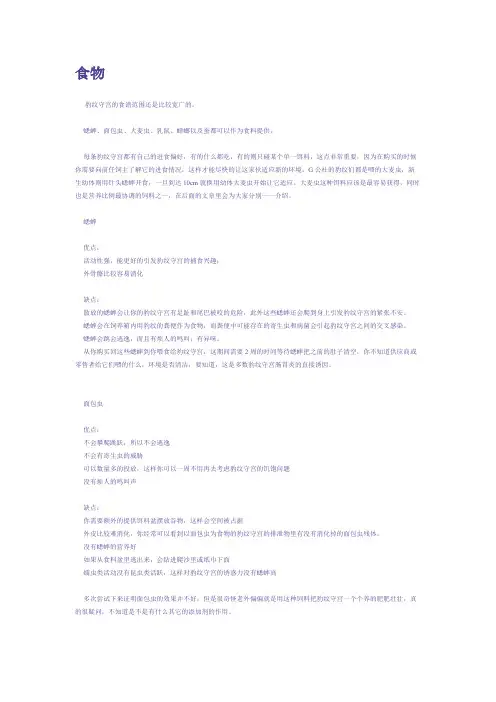 照顾好你的豹纹守宫给所有新人的细致解说