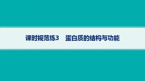 2024年人教版高考生物总复习第二部分考点规范训练3蛋白质的结构与功能