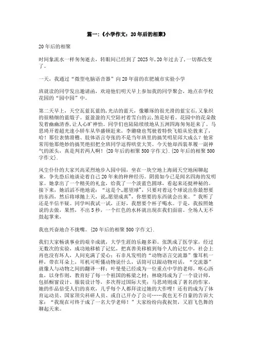 20年后的相聚500字作文