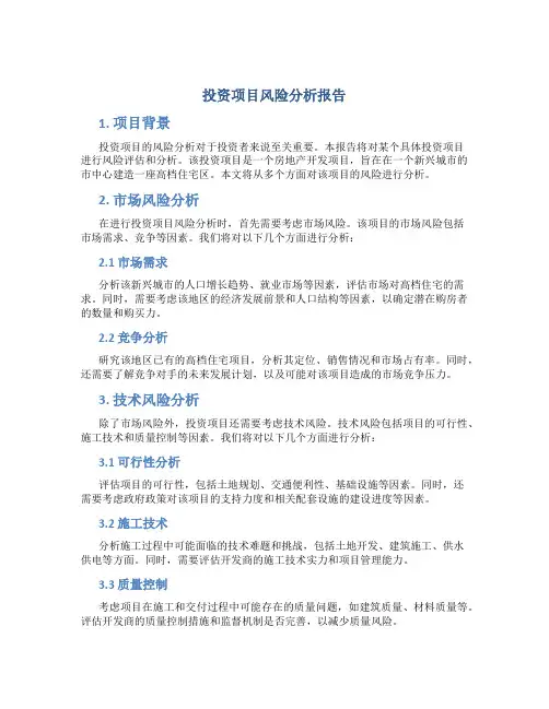 投资项目风险分析报告