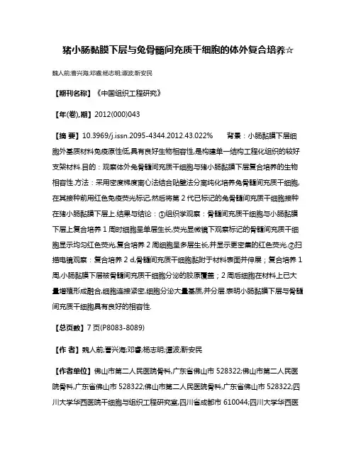 猪小肠黏膜下层与兔骨髓间充质干细胞的体外复合培养☆