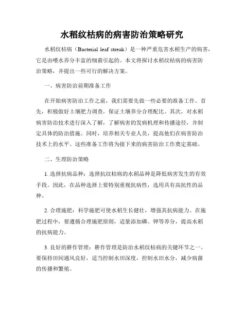 水稻纹枯病的病害防治策略研究