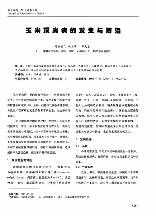 玉米顶腐病的发生与防治