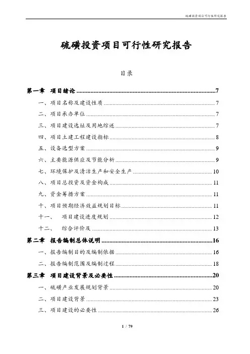 硫磺投资项目可行性研究报告