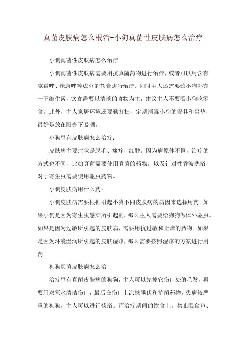 真菌皮肤病怎么根治-小狗真菌性皮肤病怎么治疗