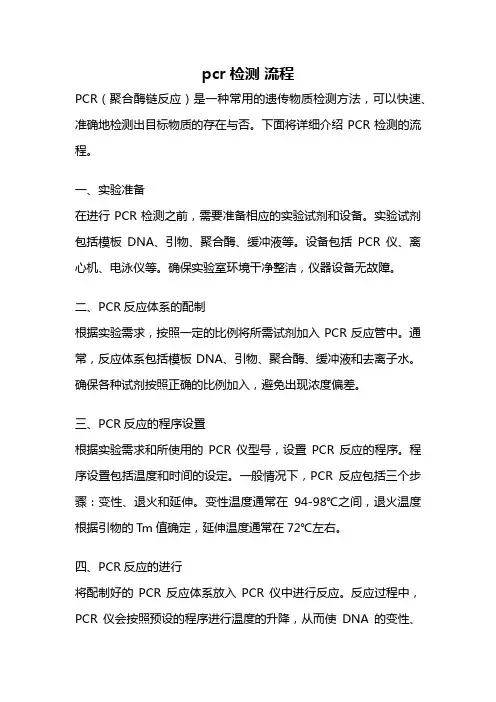 pcr检测 流程