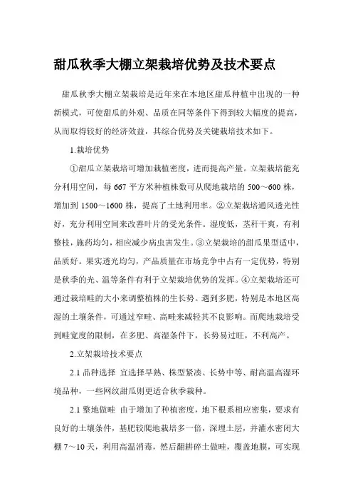 甜瓜秋季大棚立架栽培优势及技术要点