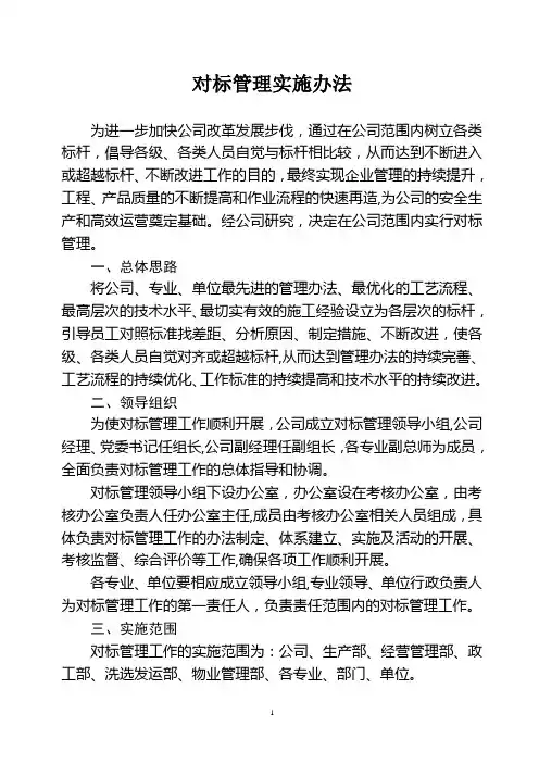 对标管理实施办法