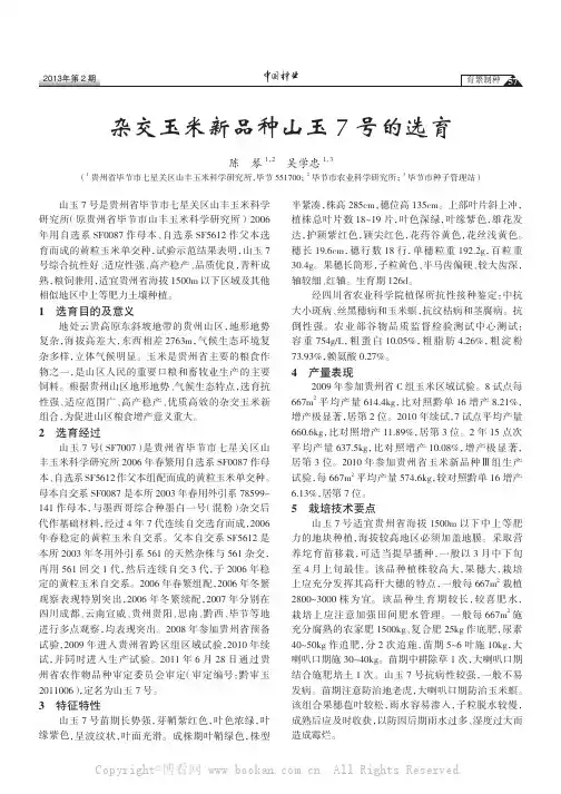 杂交玉米新品种山玉7号的选育