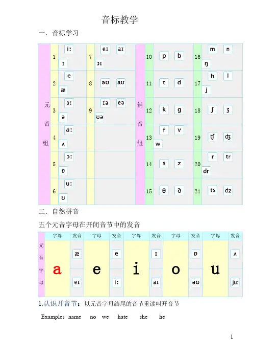 自编音标 5个元音字母