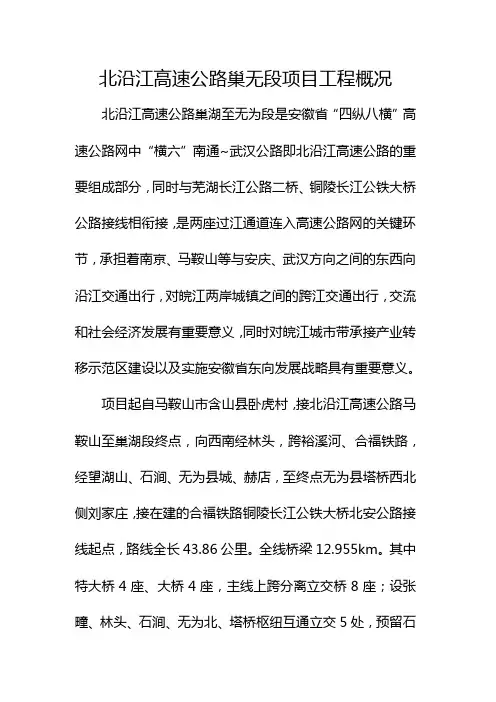 巢无段项目概况