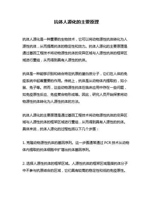 抗体人源化的主要原理