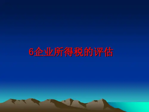 最新6企业所得税的评估