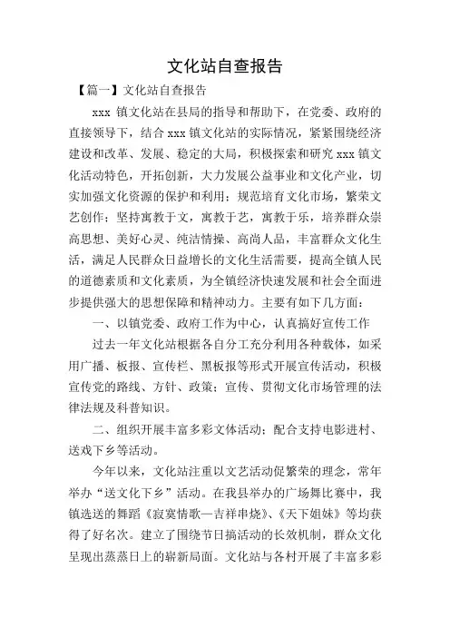 文化站自查报告