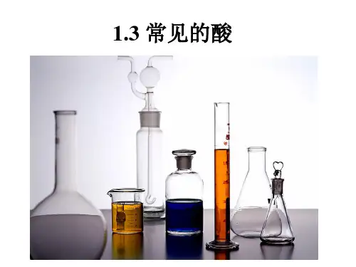 常见的酸(2课时)(PPT课件(初中科学)51张)