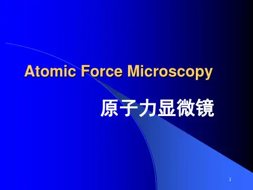 原子力显微镜AFM精品PPT课件