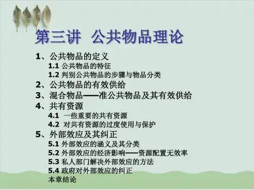 公共物品理论知识讲义PPT课件( 67页)