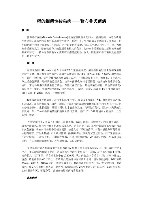 猪的细菌性传染病——猪布鲁氏菌病