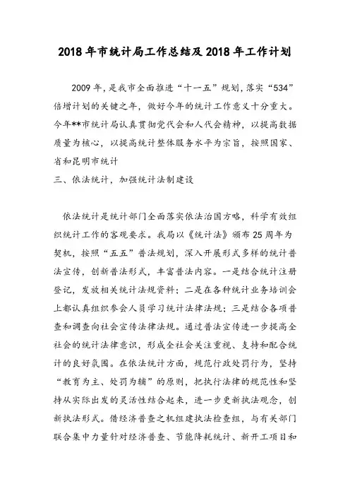 2018年市统计局工作总结及2018年工作计划-范文精选