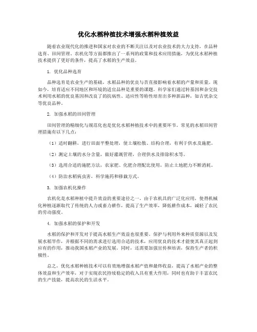 优化水稻种植技术增强水稻种植效益