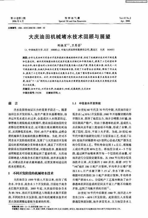 大庆油田机械堵水技术回顾与展望
