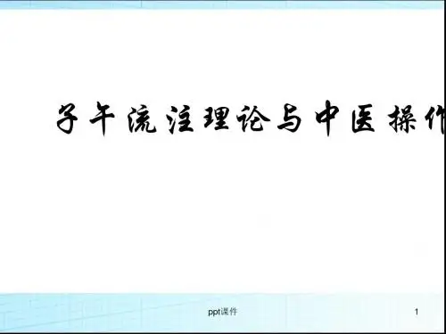 子午流注理论与中医操作  ppt课件