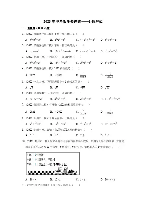 2023年中考数学专题练——1数与式