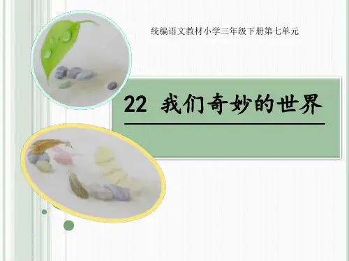 部编版三年级下册语文课件 22 我们奇妙的世界  (共22张PPT)