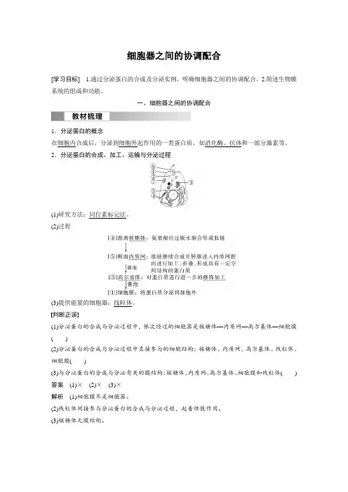 高中生物新教材必修第一册教案讲义：细胞器之间的协调配合