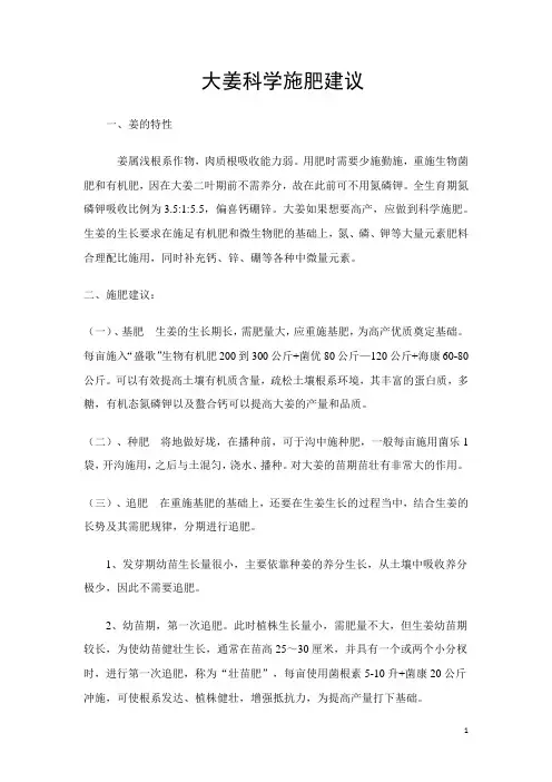 大姜科学施肥建议