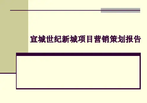 宣城世纪新城项目营销策划报告_119PPT
