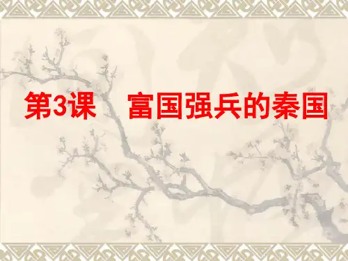 2-3富国强兵的秦国