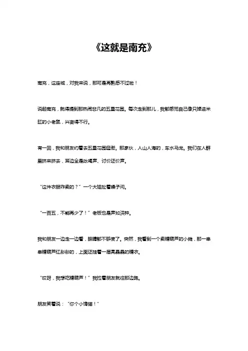 这就是南充作文