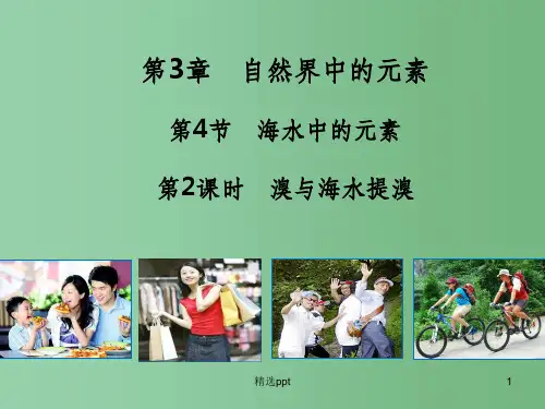 (教师参考)高中化学 3.4.2 溴与海水提溴课件2 鲁科版必修1