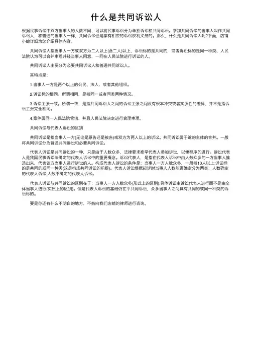 什么是共同诉讼人