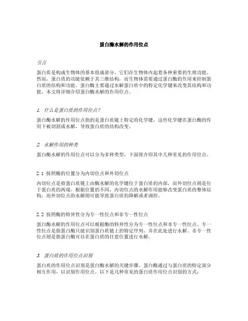 蛋白酶水解的作用位点