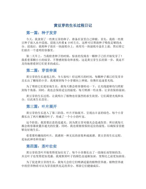 黄豆芽的生长过程日记300字精彩6篇