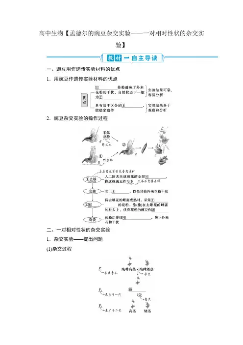 高中生物【孟德尔的豌豆杂交实验——一对相对性状的杂交实验】
